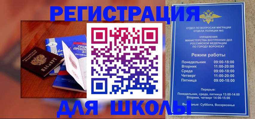 прописка для работы в Видном
